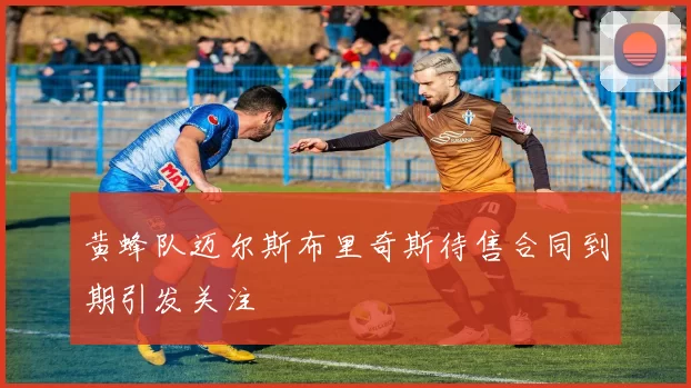 黄蜂队迈尔斯布里奇斯待售合同到期引发关注