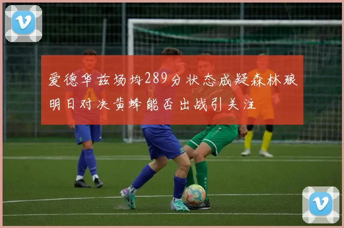 爱德华兹场均289分状态成疑森林狼明日对决黄蜂能否出战引关注
